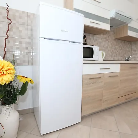 Apartment Vinka *